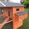 Poulailler en Bois pour 10 Poules avec Accessoires Inclus