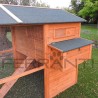 Poulailler en Bois pour 10 Poules avec Accessoires Inclus